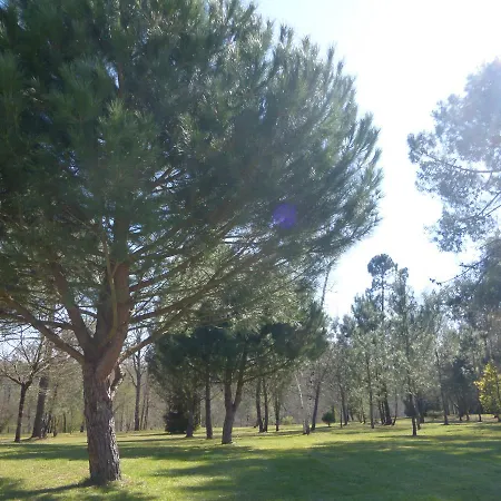 Les Pins Perdus Saint-Ciers-d'Abzac